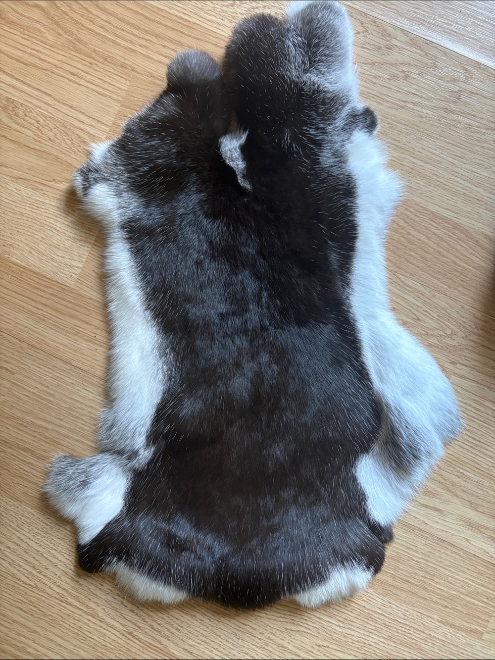 B0183 rabbit pelt